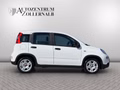 Daumennagel 7 - Fiat Panda 1.0 GSE *1.HAND*WENIG KM*KLIMA*DAB*