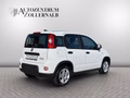 Daumennagel 6 - Fiat Panda 1.0 GSE *1.HAND*WENIG KM*KLIMA*DAB*