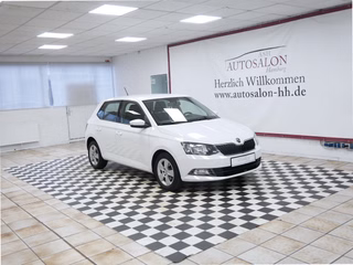 Skoda Fabia Gebrauchtwagen Kaufen