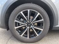 Daumennagel 11 - Ford Puma 1.0 EcoBoost Hybrid Aut. Titanium X