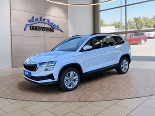 Skoda Karoq age.one-day registration Kaufen