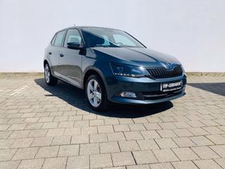 Skoda Fabia Gebrauchtwagen Kaufen