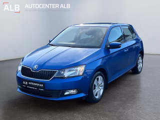 Skoda Fabia Gebrauchtwagen Kaufen