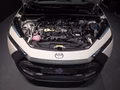 Daumennagel 7 - Toyota C-HR Plug-In Hybrid FWD Team Deutschland/1 HAND