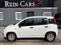 Thumbnail 3 - Fiat Panda 1.2 Pop/34TKM/I.HAND/ALLWETTER/TÜV-NEU/