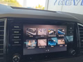 Daumennagel 40 - Skoda Karoq Sportline 1,5TSI DSG aAHK/Navi/Matrix/Kessy/Winterp.  **