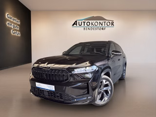 Skoda Kodiaq Gebrauchtwagen Kaufen