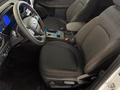 Daumennagel 8 - Ford Kuga FHEV Hybrid ST-Line