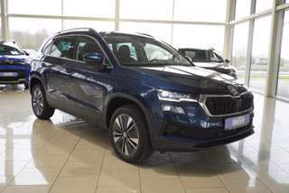 Skoda Karoq age.one-day registration Kaufen