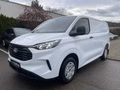 Daumennagel 2 - Ford Transit Custom Kasten 320 L1 Trend FWD