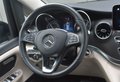 Daumennagel 14 - Mercedes-Benz V 300d MARCO POLO/AMG/ EDITION/KÜCHE/MARKISE/360°/ACC/AHK