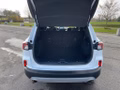 Daumennagel 18 - Ford Kuga 2.5 Duratec PHEV TITANIUM X Winter-Paket