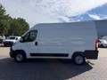 Daumennagel 2 - Peugeot Boxer Kasten Hochraum L2H2 Premium/Kamera/AHK