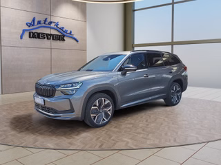 Skoda Kodiaq age.one-day registration Kaufen