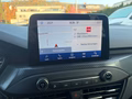 Daumennagel 16 - Ford Focus Turnier 1.5 EcoBoost ST-Line AHK/RFK/LED