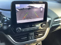 Daumennagel 10 - Ford Fiesta 1.0 EcoBoost Hybrid S&S ST-LINE X Winter