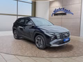 Daumennagel 7 - Hyundai TUCSON 1.6 T-GDI HEV 239PS Navi/LED/Kamera/Keyless