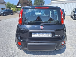 Fiat Panda 1.0 Hybrid 69PS Klima PDC DAB Spurhalteassistent - bilder 2