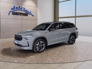 Skoda Kodiaq age.one-day registration Kaufen