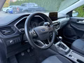 Daumennagel 11 - Ford Kuga 1.5 EcoBoost Cool & Connect