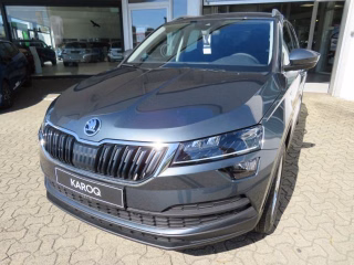 Skoda Karoq 1.6 TDI Soleil 5 Jahre Garantie 100 TKM, Amundsen, PDC, Kamera,