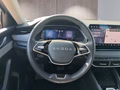 Daumennagel 12 - Skoda Octavia Combi 2,0TDI DSG Navi/ACC/Kamera/Winterp.