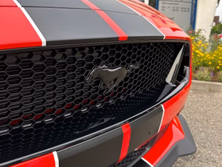 NPME2 Mustang Pony Schwarz 