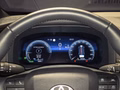 Daumennagel 13 - Toyota C-HR Plug-In Hybrid FWD Team Deutschland/1 HAND