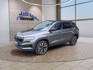 Skoda Karoq age.one-day registration Kaufen