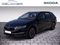 Daumennagel 1 - Skoda Octavia Combi 2.0 TDI 110 kW Tour AHK Panorama Leder