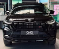 Daumennagel 2 - Skoda Kodiaq RS 4x4 |7-Sitzer|ACC|Pano|SHZ|Kamera|