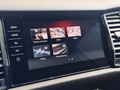 Daumennagel 36 - Skoda Kodiaq RS 4x4 7-Sitzer|360°|NAVI|STH|LKH|SHZ|ACC|MFL|AHK|
