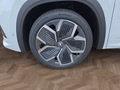Daumennagel 14 - Skoda Kodiaq Sportline 1,5 TSI iV aAHK/Pano/Matrix/Navi  **
