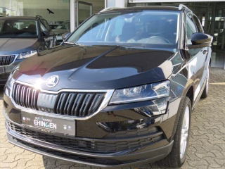 Skoda Karoq 2.0 TDI Style 4x4, Amundsen,Kamera, SH,AHK Schwenkbar