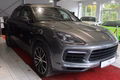 Daumennagel 8 - Porsche Cayenne E-Hybrid PASM*MATRIX-LED
