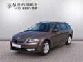 Daumennagel 1 - Skoda Octavia Combi 1.6 TDI Ambition *2.HAND*AHK*KLIMA