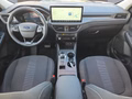 Daumennagel 10 - Ford Kuga Active 2.5 Plug-in-Hybrid 5*J.Gar/Winterp/LED/Navi  **