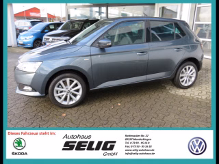 Skoda Fabia III 1,0 TSI 6-Gang Drive, 81 KW 5 Jahre Garantie,Kamera, Climatronic,