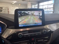 Daumennagel 19 - Ford Kuga Plug-In Hybrid Titanium Winterpaket/Ganzjahresreifen/NAVI/u.v.m.