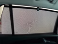 Daumennagel 28 - Volkswagen Tayron 1.5 eTSI DSG Life AHK 7 SITZE KAMERA