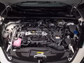 Daumennagel 8 - Toyota C-HR Plug-In Hybrid FWD Team Deutschland/1 HAND