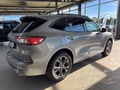 Daumennagel 6 - Ford Kuga PHEV ST-Line + iAcc + AHK + Kamera