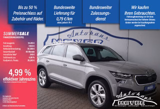 Skoda Kodiaq Gebrauchtwagen Kaufen