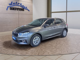 Skoda Fabia age.one-day registration Kaufen