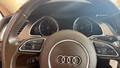 Daumennagel 18 - Audi A5 Sportback 1.8 TFSI