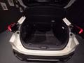 Daumennagel 9 - Toyota C-HR Plug-In Hybrid FWD Team Deutschland/1 HAND