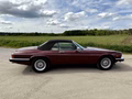 Daumennagel 19 - 1989 Jaguar XJS V12 Automatik Convertible