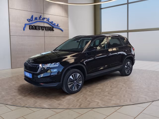 Skoda Karoq age.one-day registration Kaufen