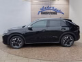 Daumennagel 2 - Volkswagen T-Roc R-Line 1.5 eTSI aAHK/Easy Open/Winterp.  **