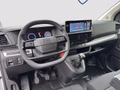 Daumennagel 13 - Fiat Scudo XL 120MT AHK+Platte+Kamera